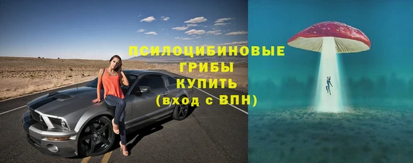шишки Абдулино