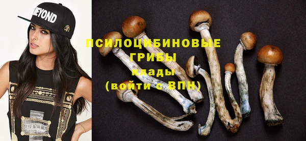 трава Абаза