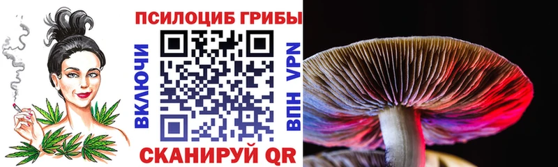 магазин продажи OMG сайт Галлюциногенные грибы Magic Shrooms Инта